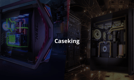 Case study CaseKing