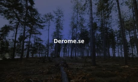 Case Study - Derome.se